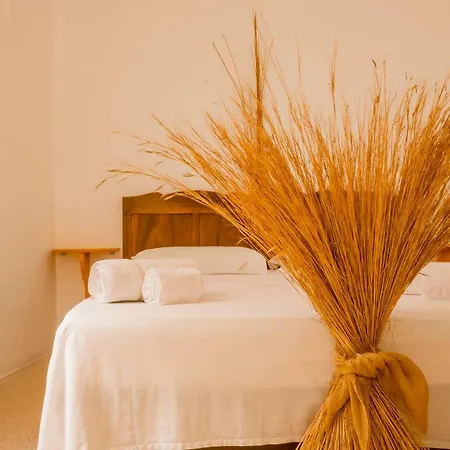 Palazzo Blandolino B&B